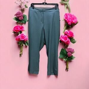 Amanda + Chelsea Womens Plus 20W Ankle Pants Stretch Modern Fit Pockets Gray